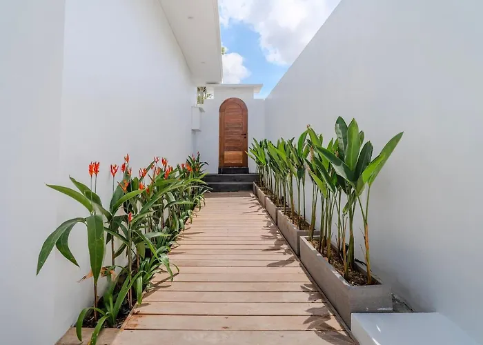 Villa Majys 4 By Tasvan Canggu